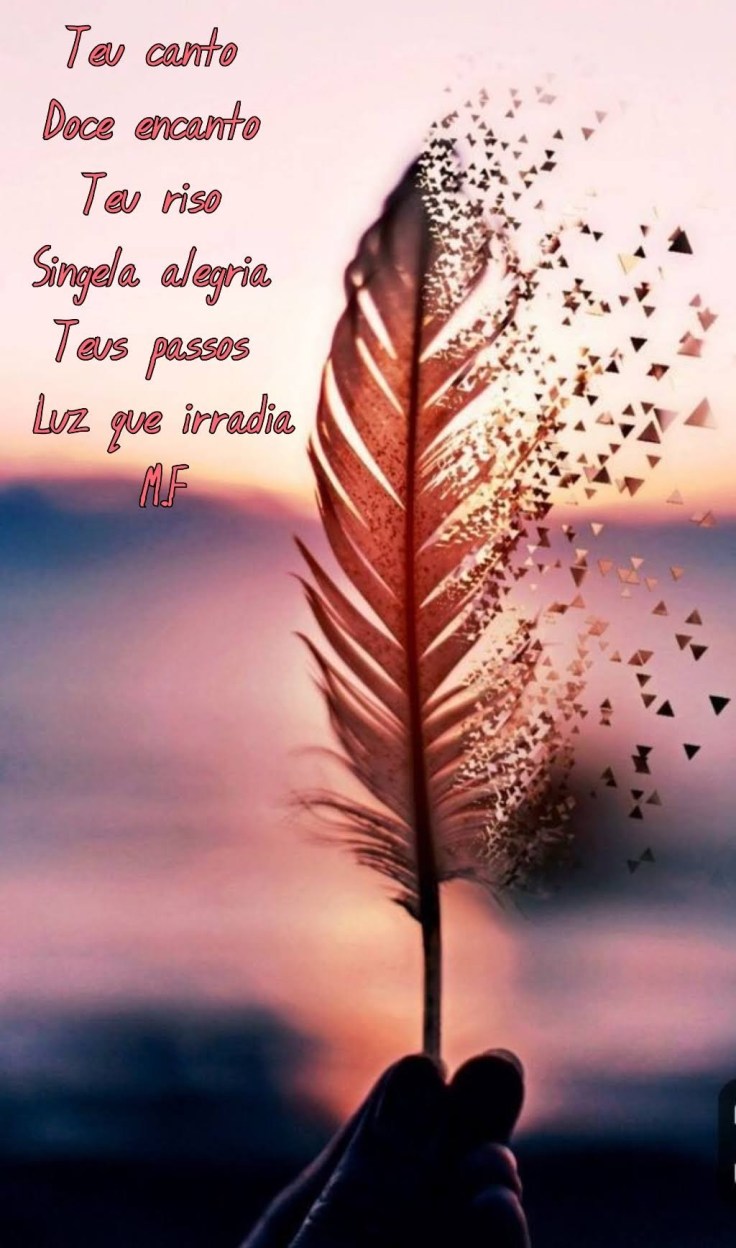 photogrid_1576016414971-2